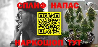 jwh Ливны