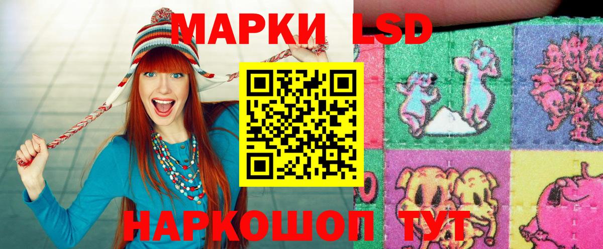 Наркотические марки 1,5мг  Наркотические марки 1,5мг  Егорьевск  Вход с VPN 